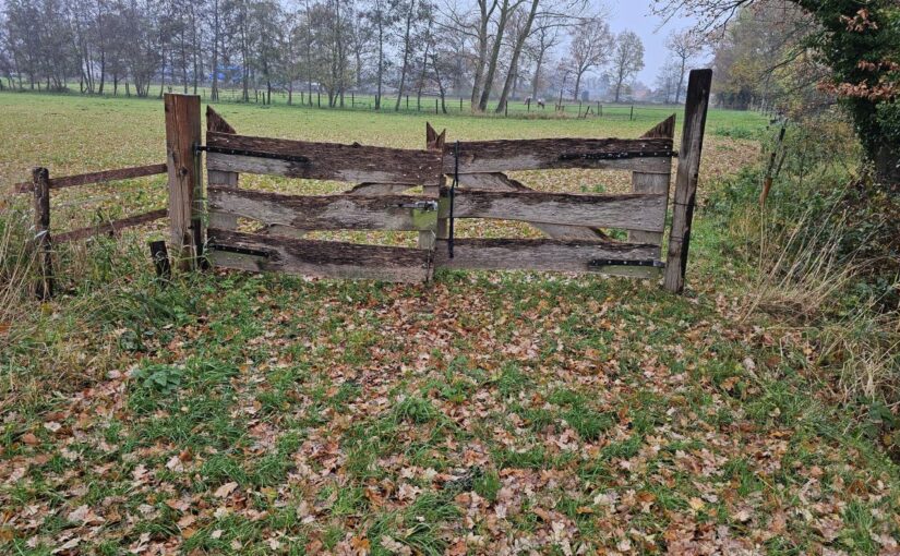 20251114 Oosterwolde – Kampen