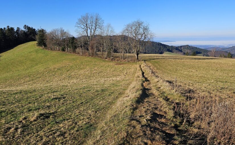 20251215 St. Peter – Streckereck – Rosskopf – Freiburg