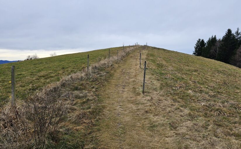 20251216 Vom Schauinsland über den Sonnhaldeberg nach Staufen