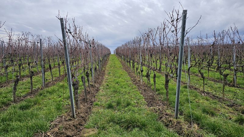 20251219 Von Merdingen zum Attilafelsen