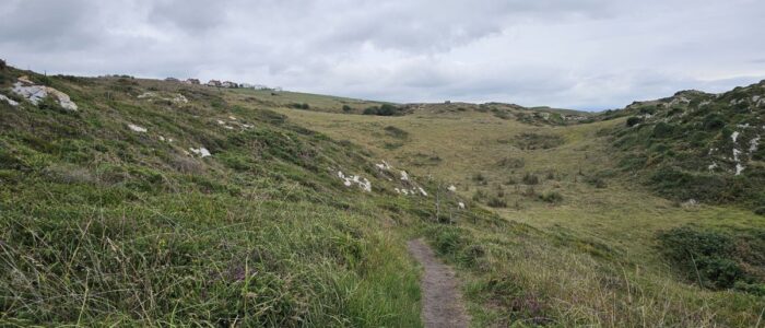 tn_20260801_125145