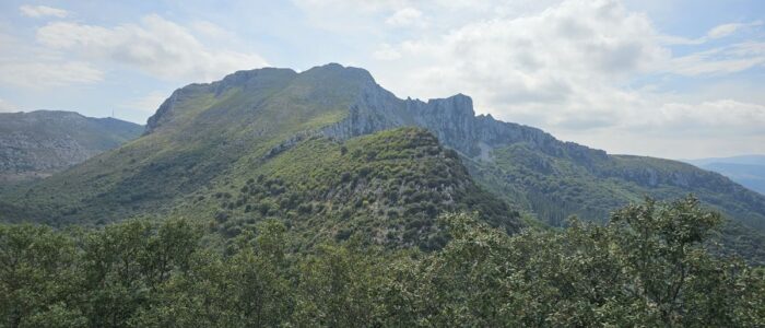 tn_20260803_122623